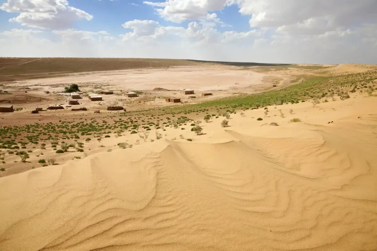 Пустыня Каракумы